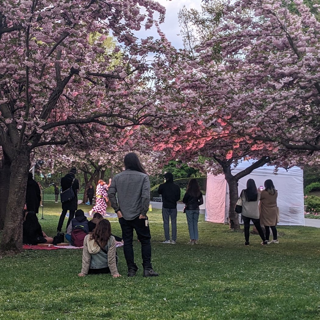 Sakura Matsuri 2