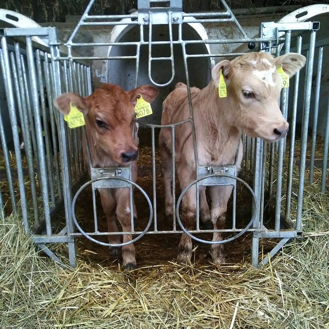 Maryline à la Ferme 2