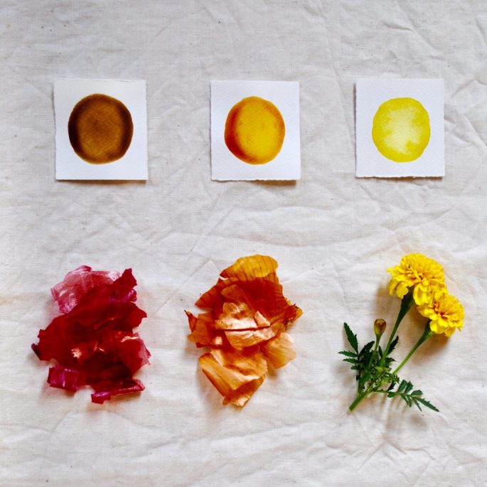Painting Workshop: Making Natural Ink with Foraged Plants 1
