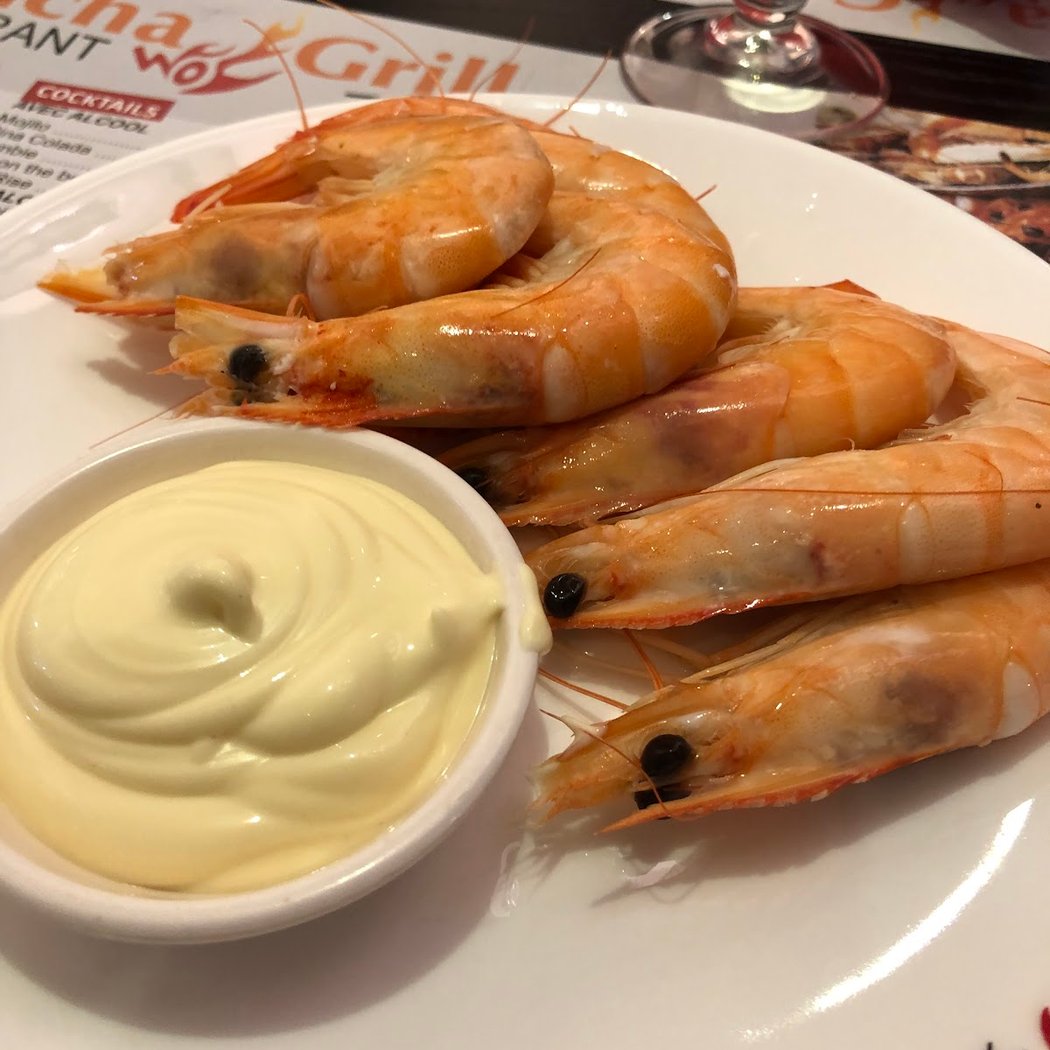 PLANCHA GRILL 1