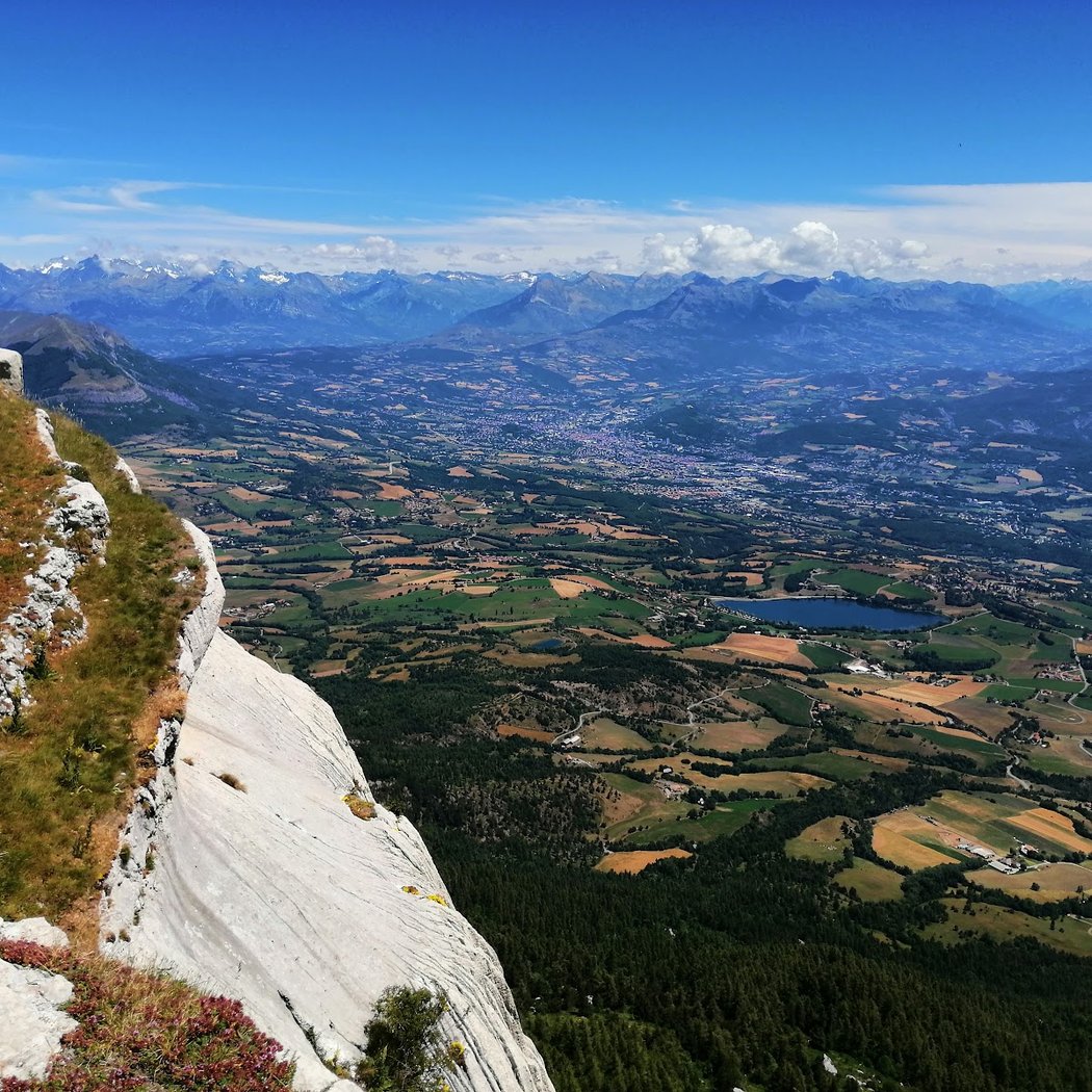 La Joue du Loup 1