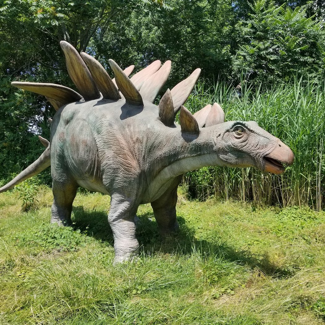 Field Station: Dinosaurs 3