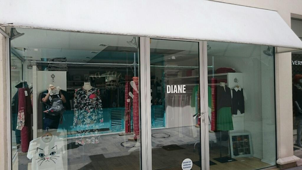 Diane Sellers 2