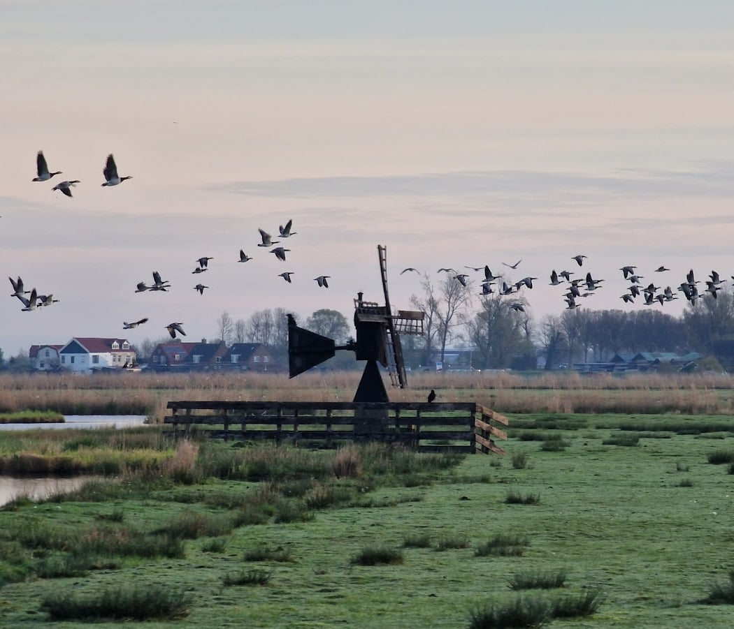 Herfst in het veld 3