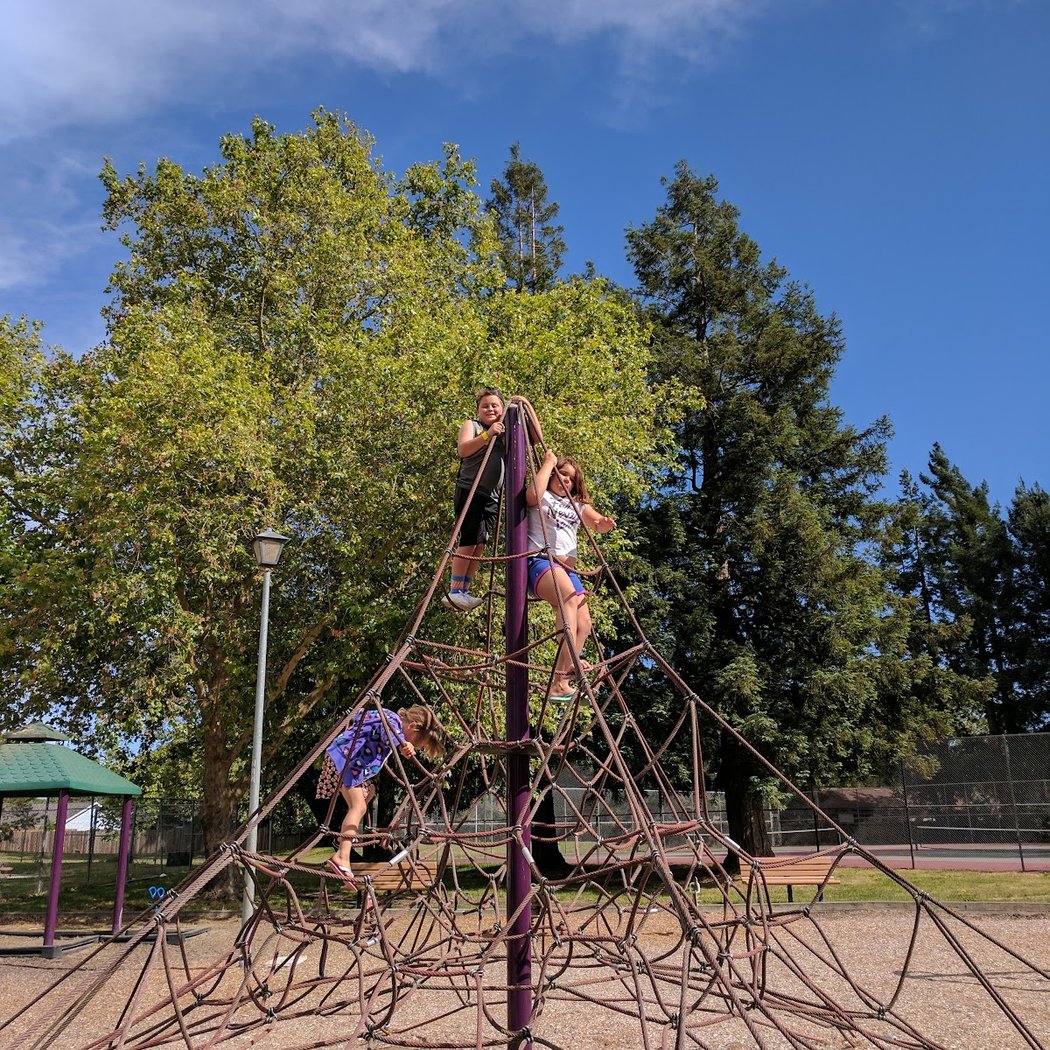 Ladybug Park 1