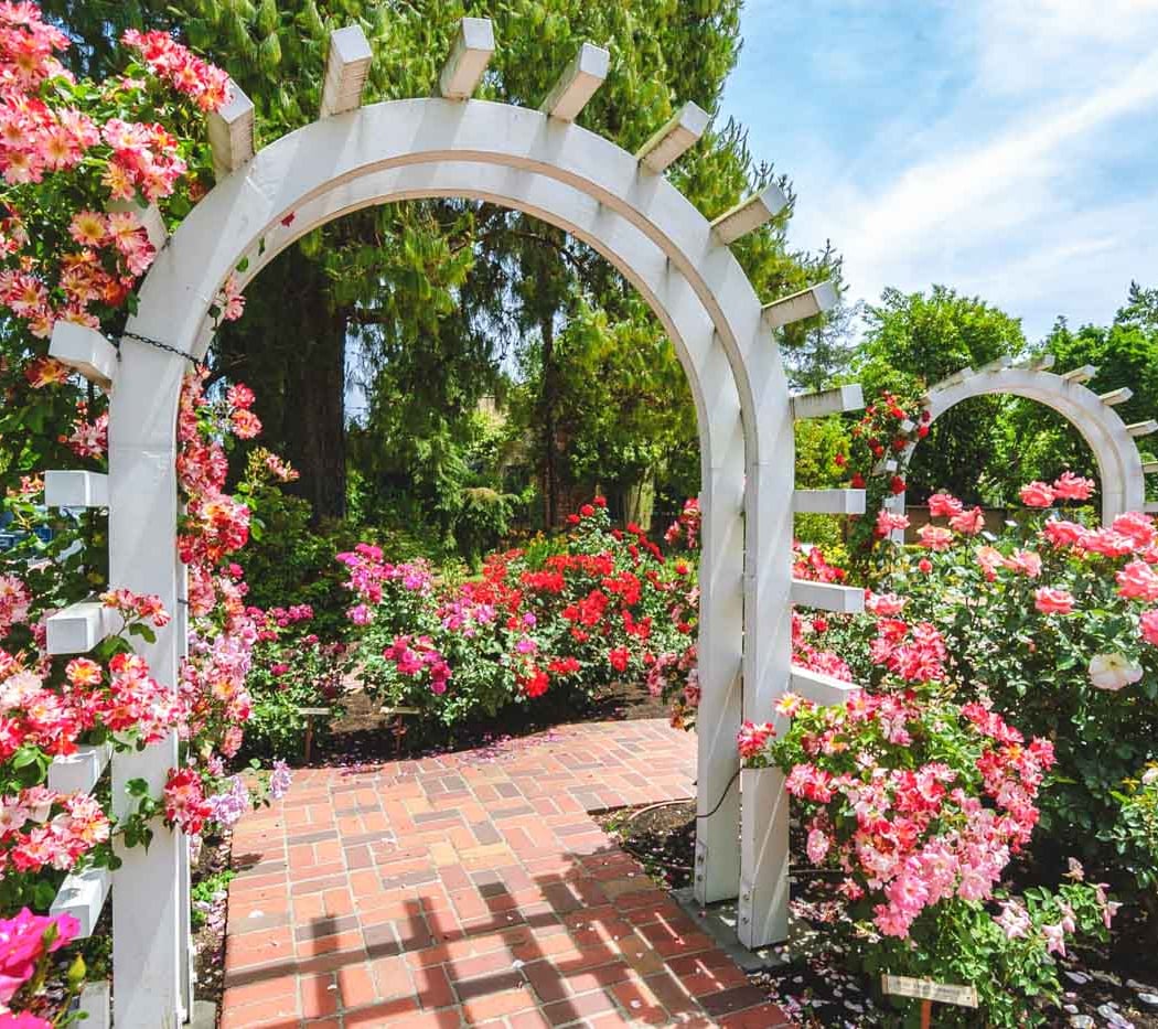 Luther Burbank Home & Gardens 1