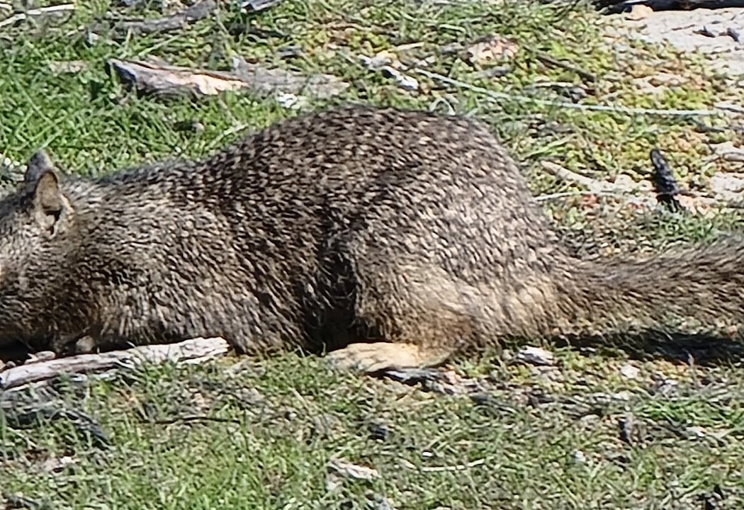 Harbor Bay Trail 3