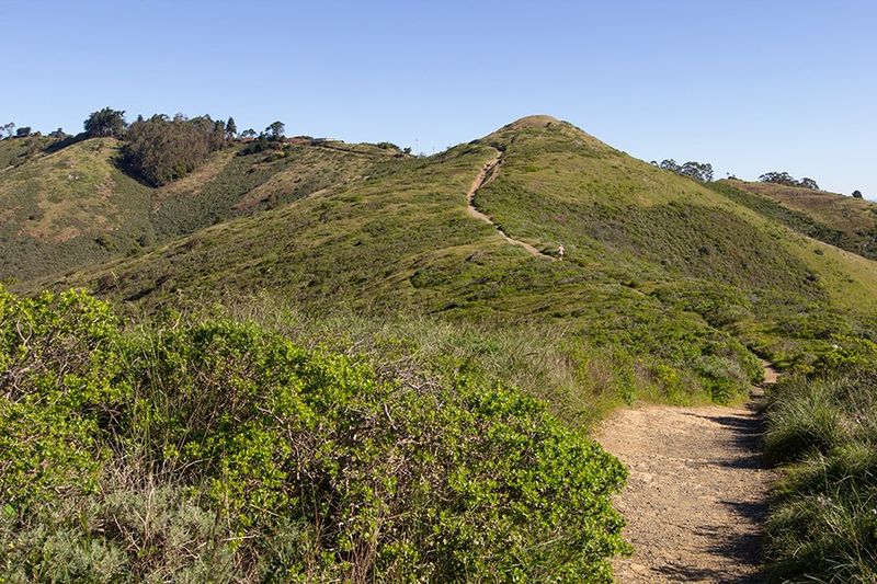 Miwok Trail 3