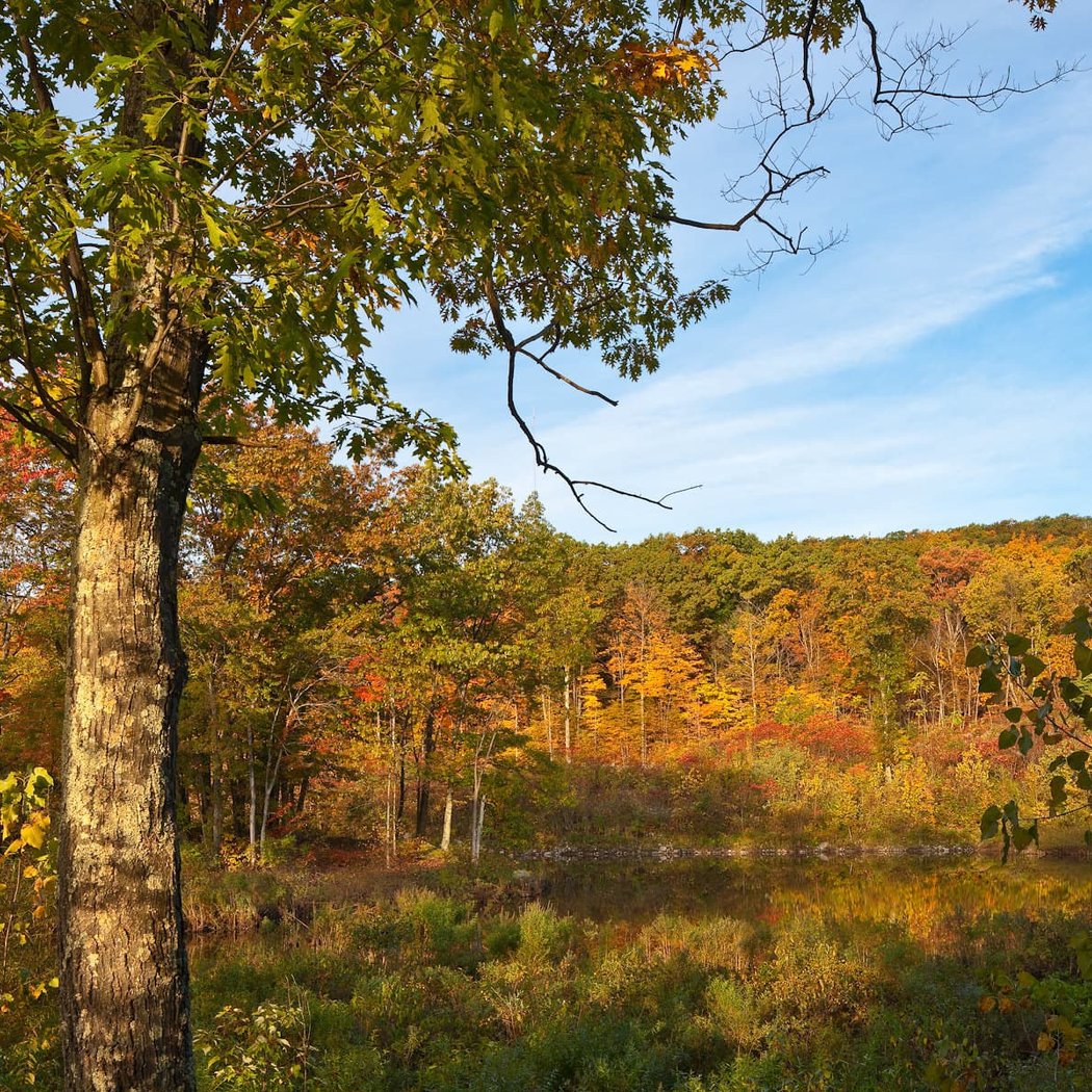 Illinois Mountain Park 1