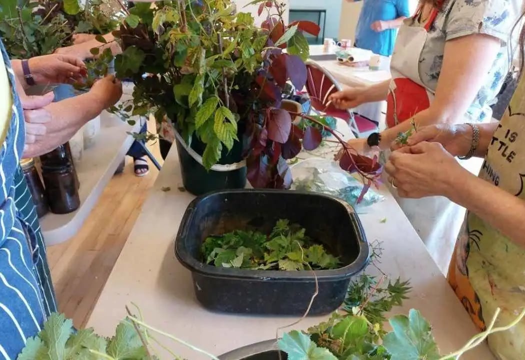Eco Printing Workshop 2