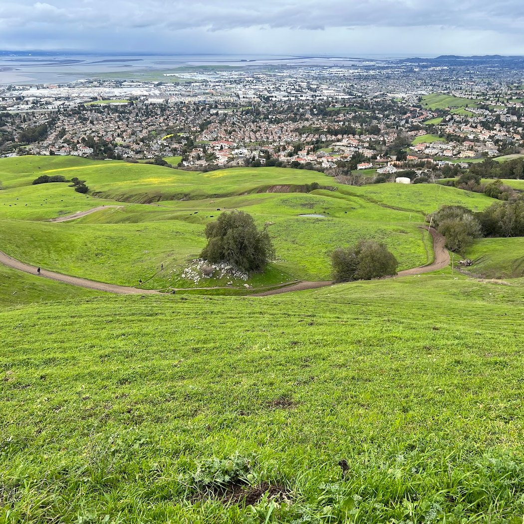 Mission Peak Summit 3