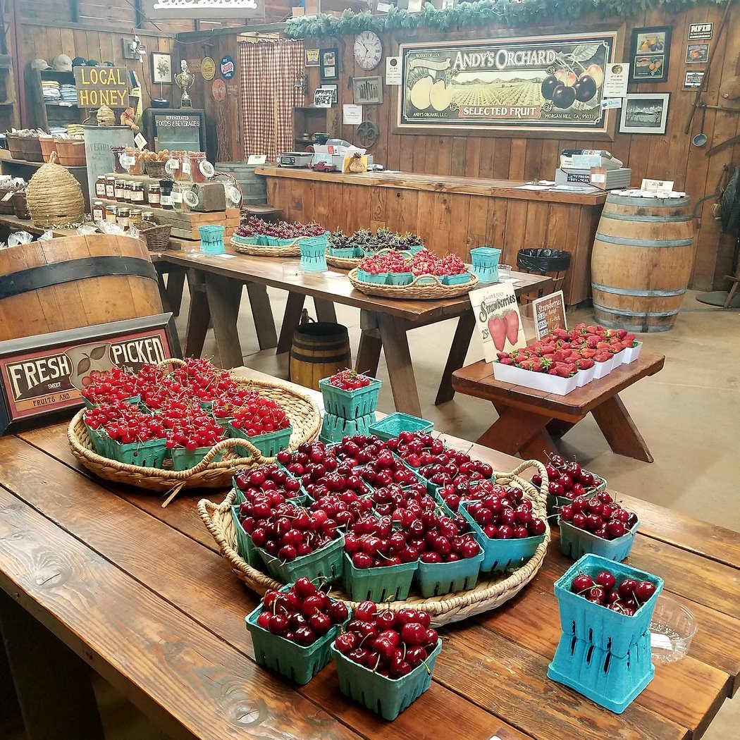 Summer Tasting Tours 1