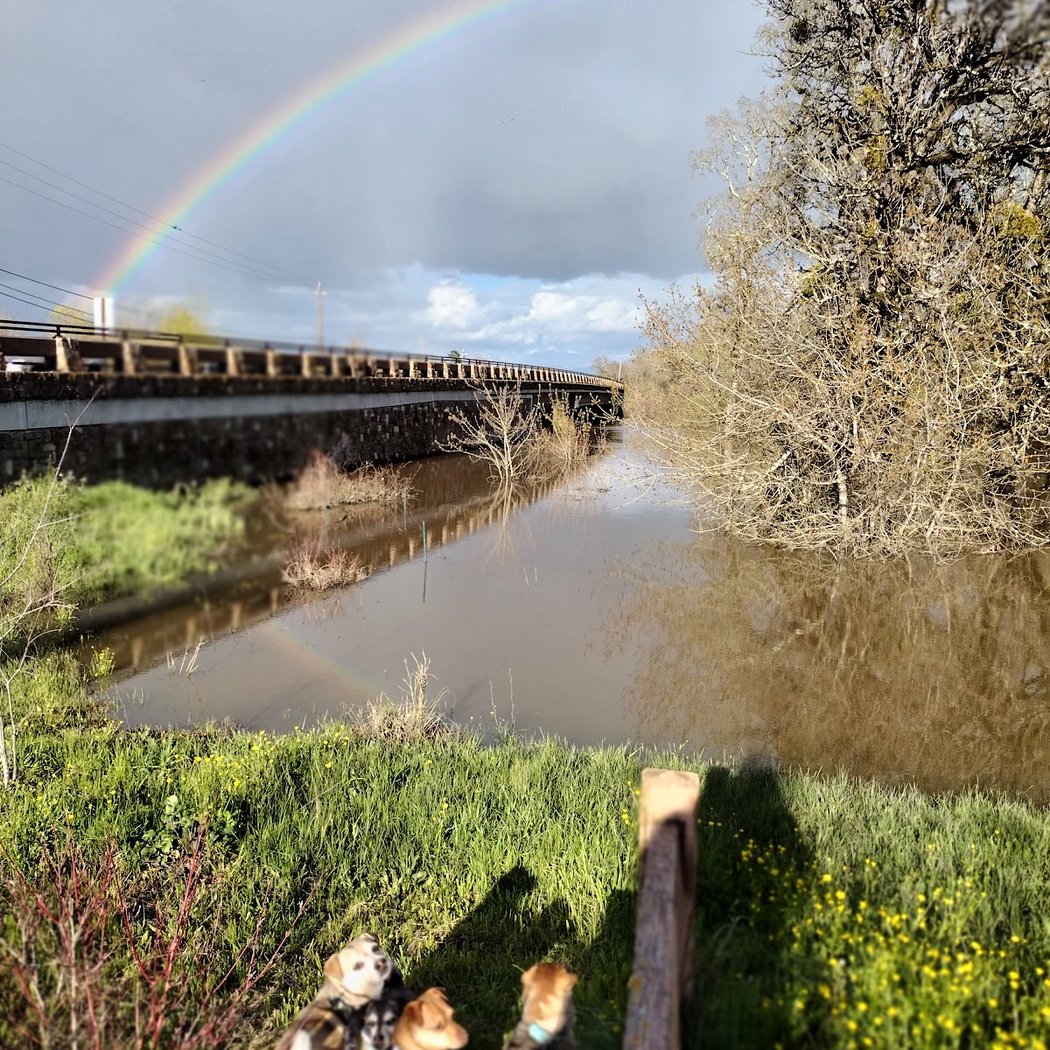 Tomodachi Park (Laguna de Santa Rosa Wetlands Preserve) 3