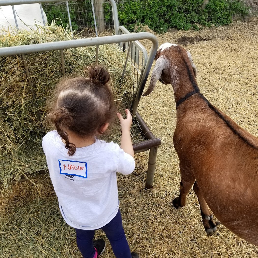 Sunday Farm Open House & Wildcraft Kids Classes 2