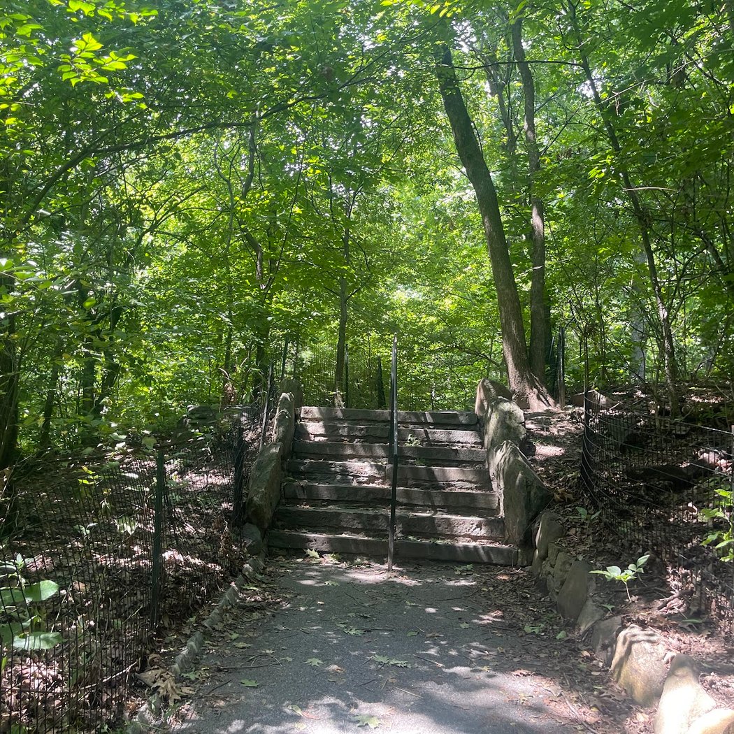 North Woods 5