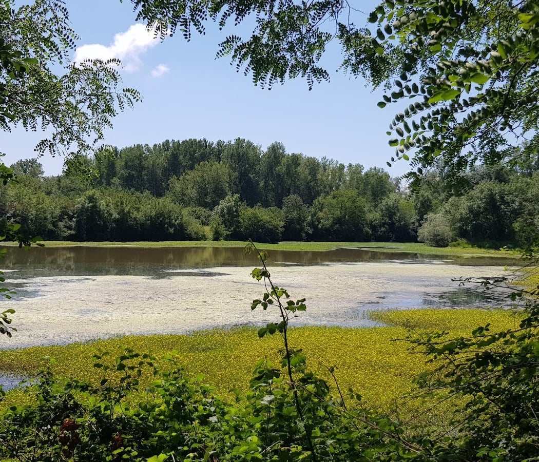 Sentier De L'Adour 2
