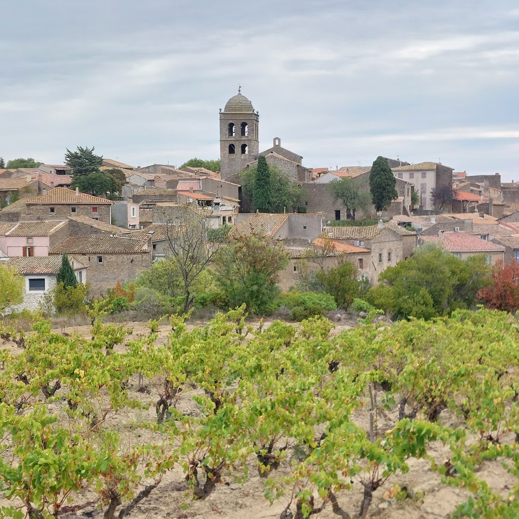 Œnorando du Cru La Livinière 4