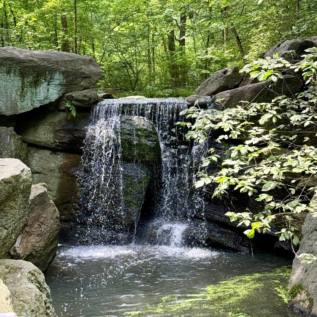 The Ravine 1