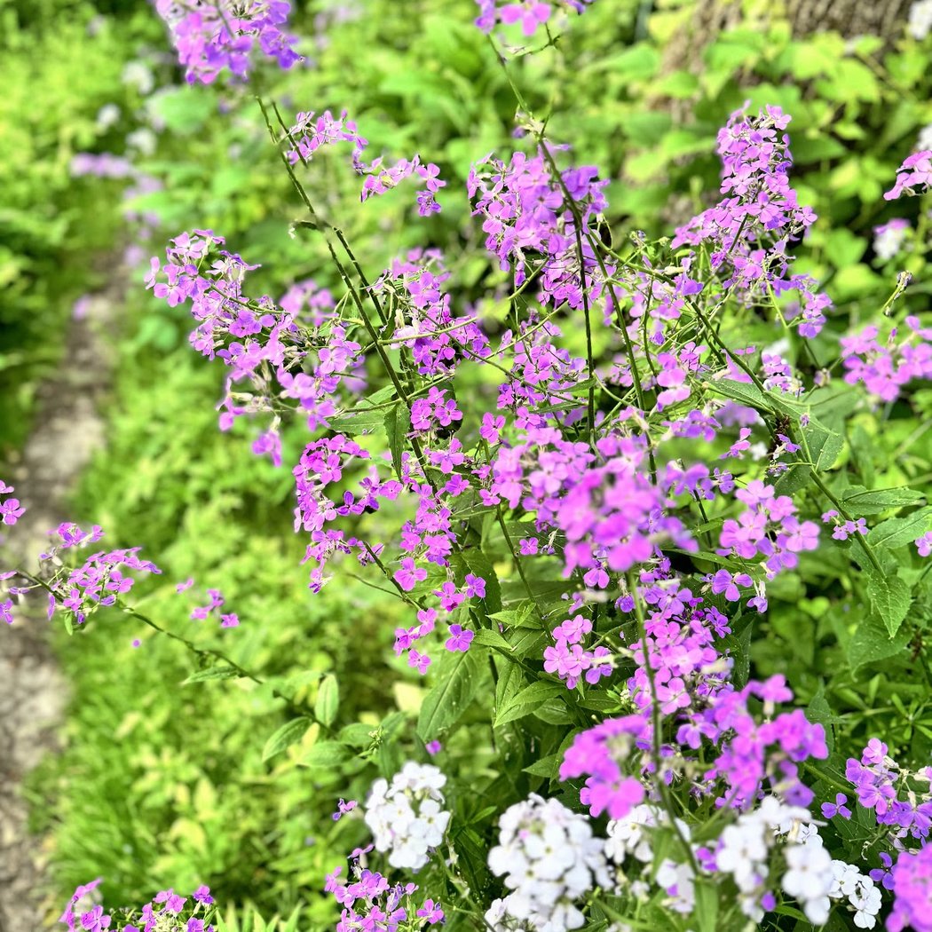 Traver Creek Nature Area 1