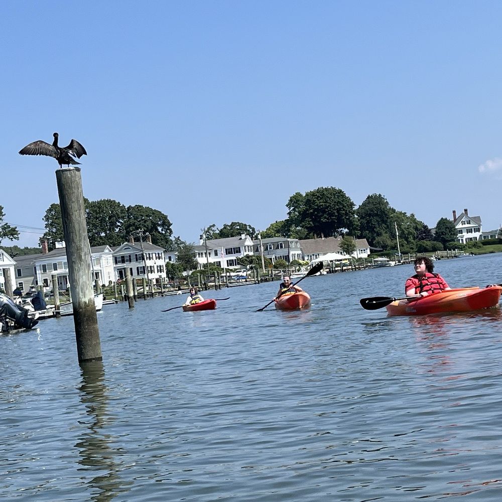 Paddle for the Sound 3