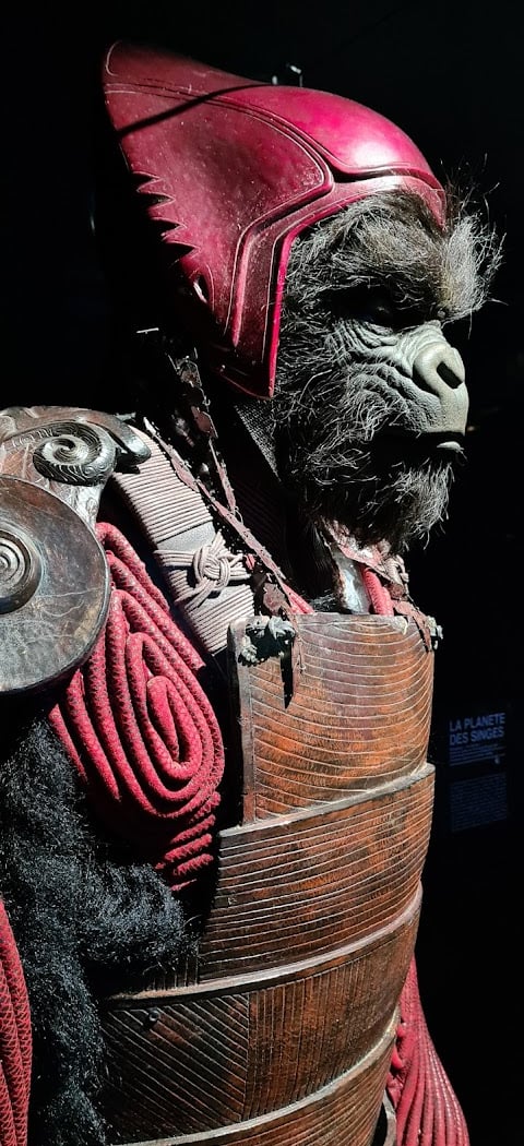 BAINS NUMERIQUES #11 1