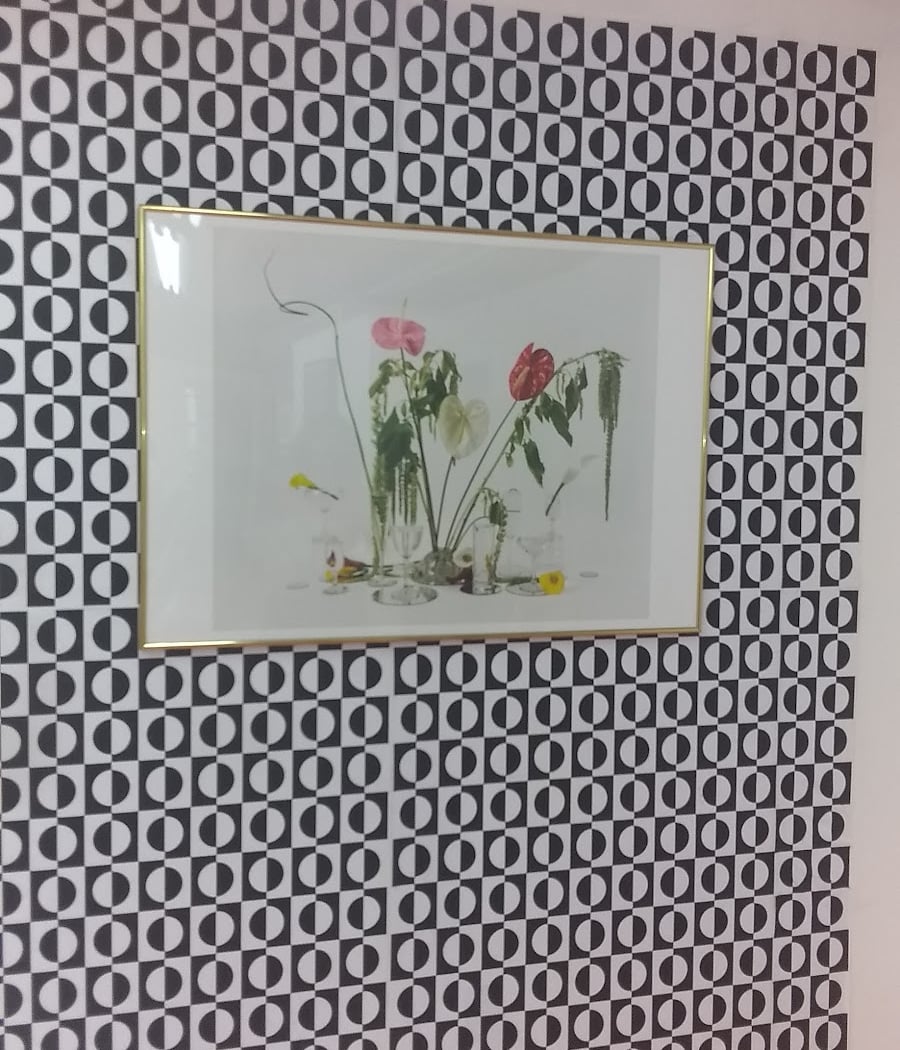 Pari Passu Gallery 1