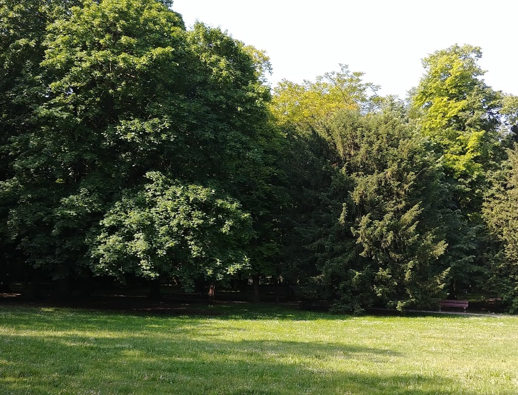 Fête de l’Été 4