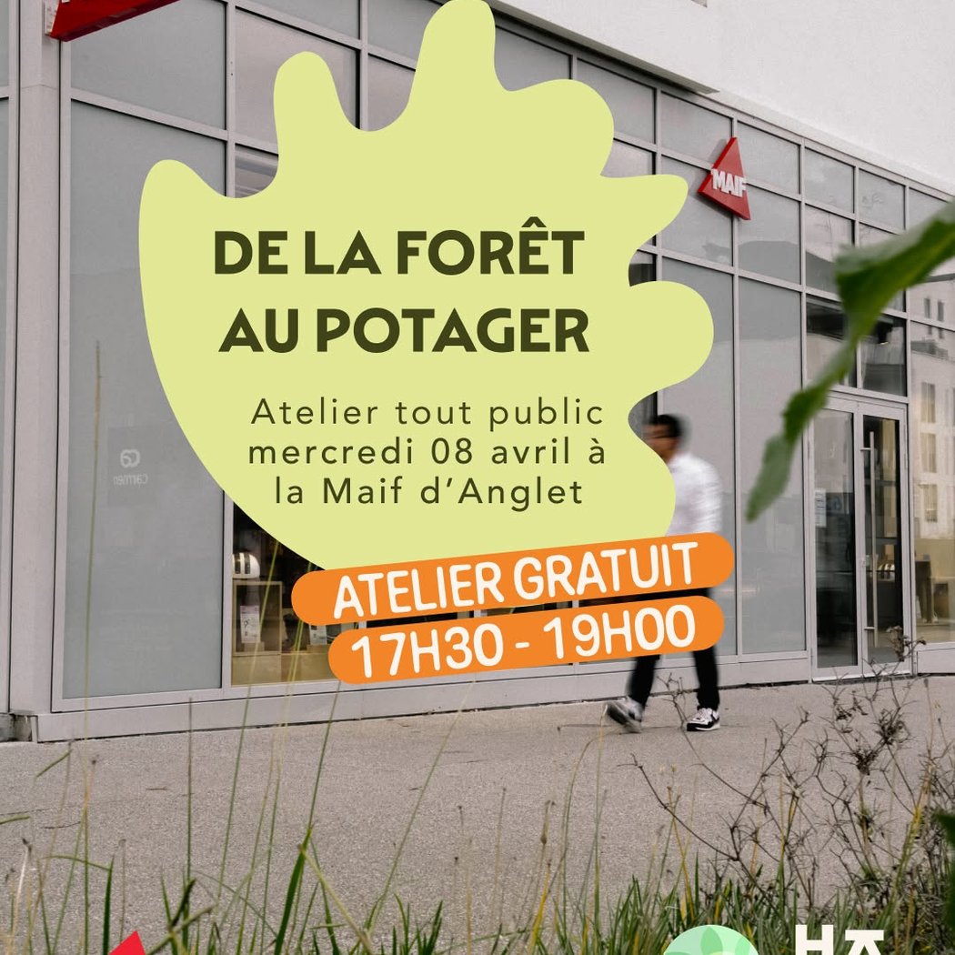 Atelier De La Forêt Au Potager 1