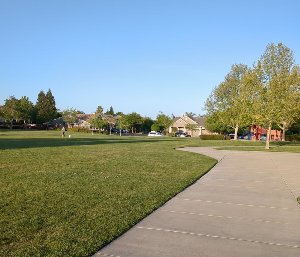 Kings Dog Park 3