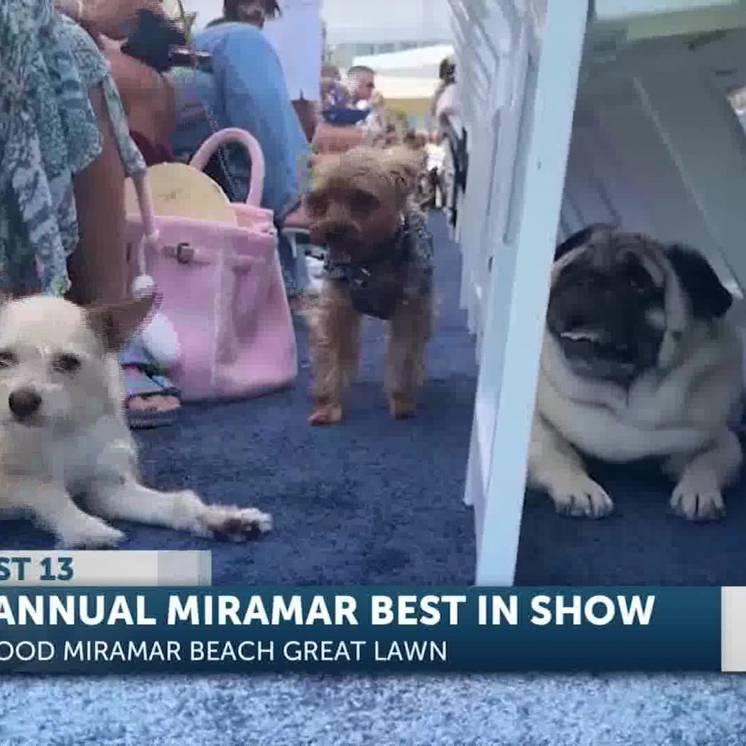 Miramar Best in Show 1