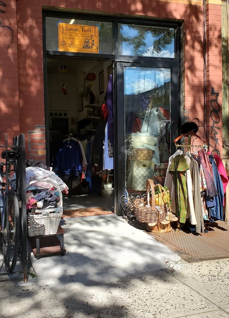 RaccoonThrift 3