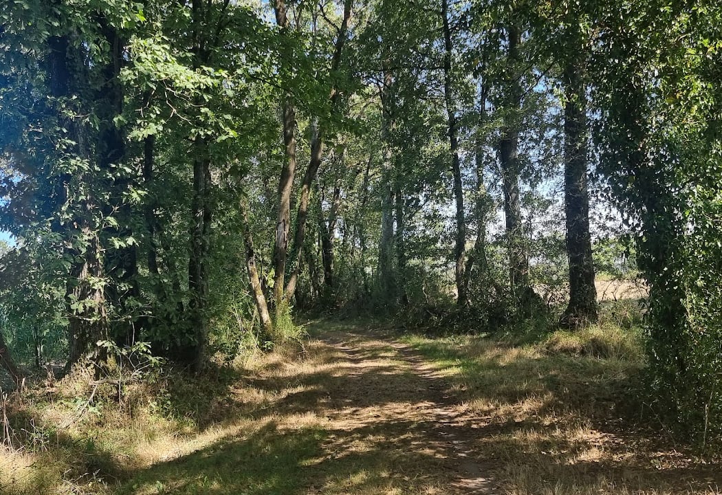 Parc de loisirs de Chéméré 2