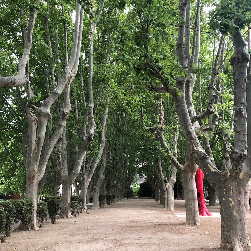 Guy Azaïs Garden 1