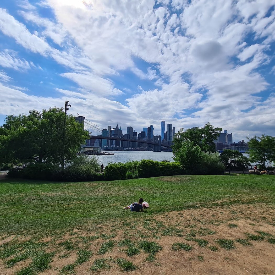 Brooklyn Bridge Park Conservancy 3