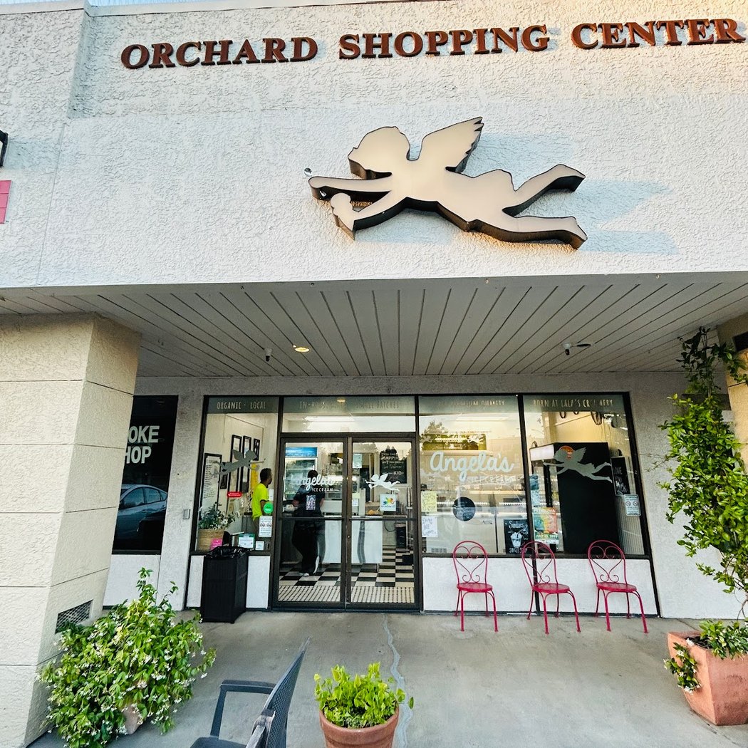 Angela's Organic Ice Cream 2