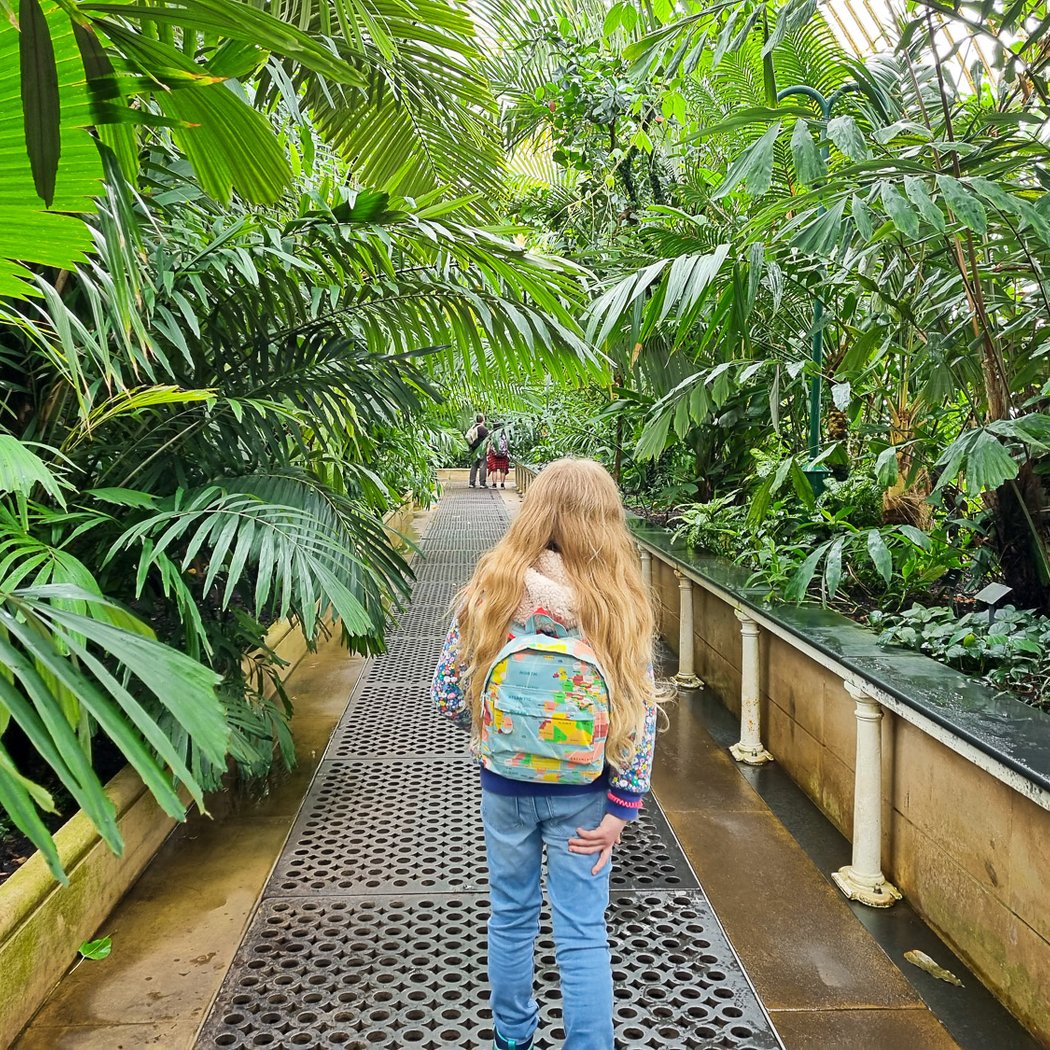 Palm House 4