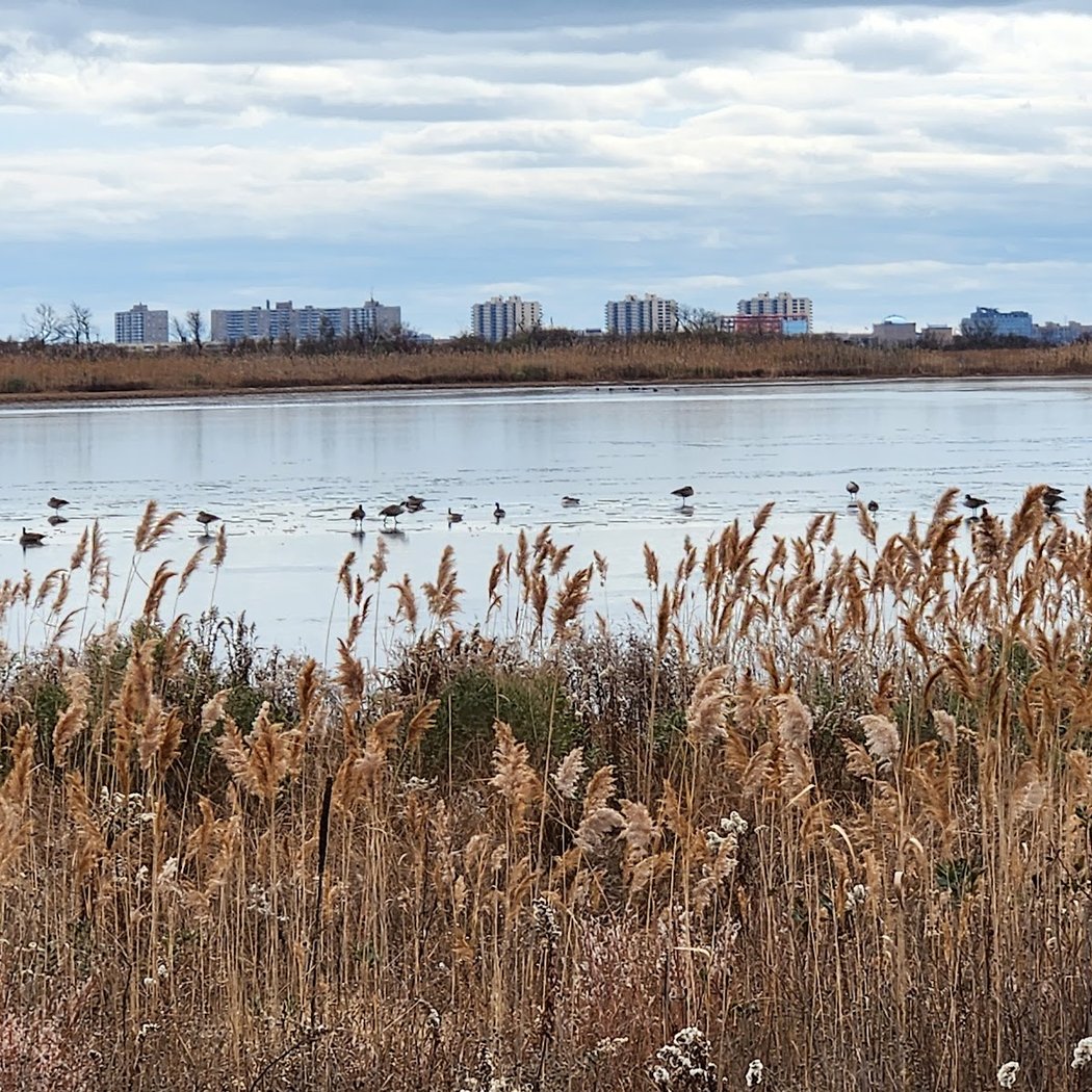 Winter Wander Nature Walk 1