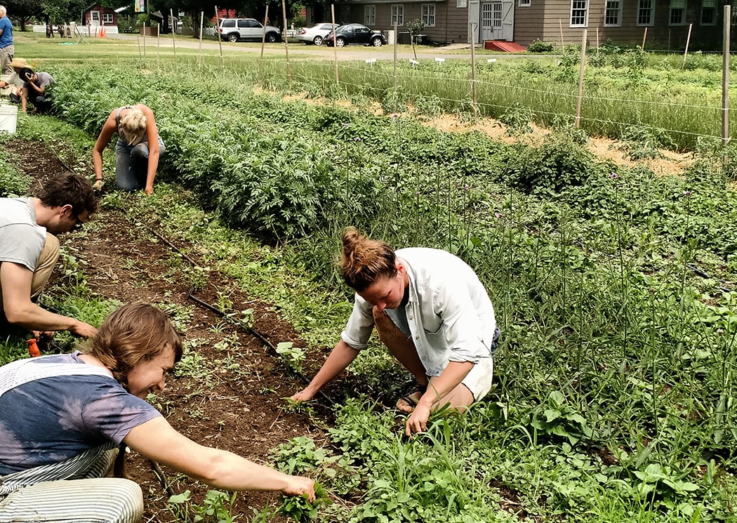 Bee-a-Pollinator: Earth Day Service 1
