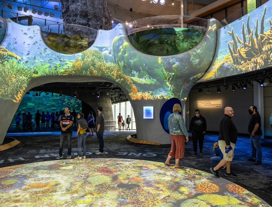 Seattle Aquarium Ocean Pavilion 2