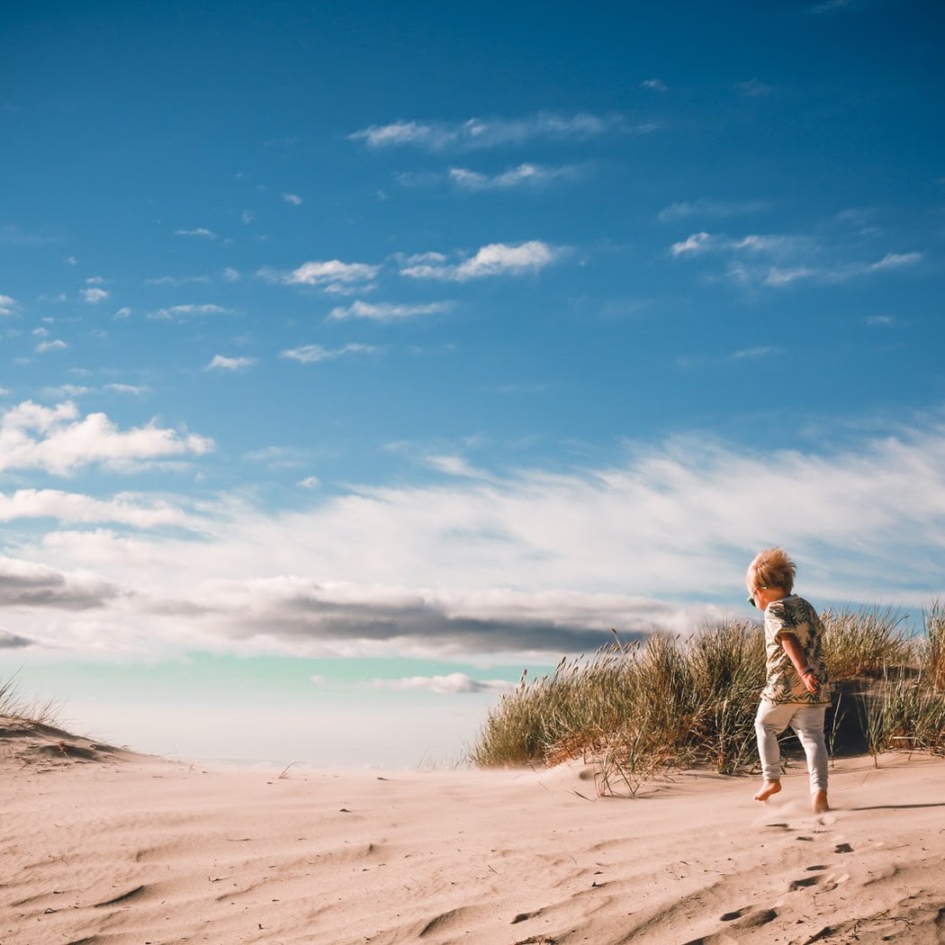 Böda Sand 1