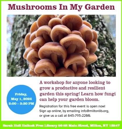 Mushrooms In My Garden: A Workshop 1