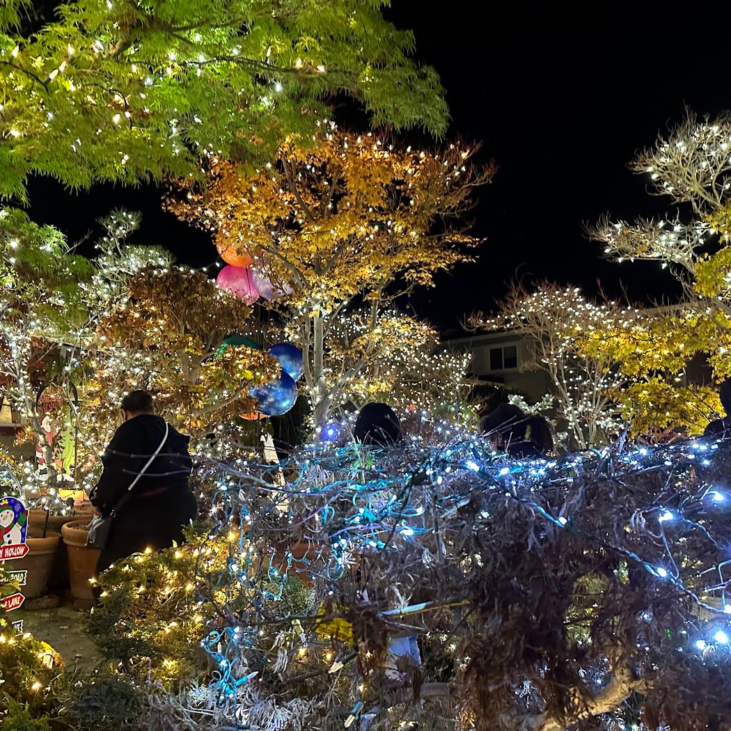 Crippsmas Place 3
