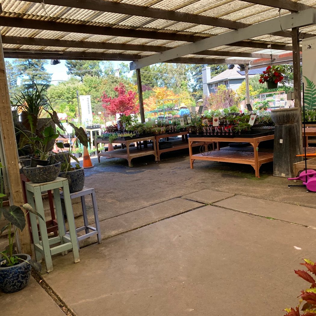 Sloat Garden Center 3