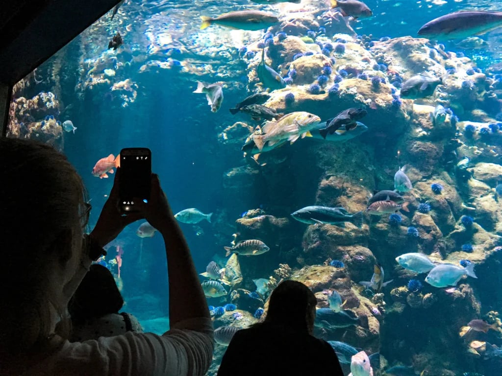 NightLife at the Academy of Sciences 2