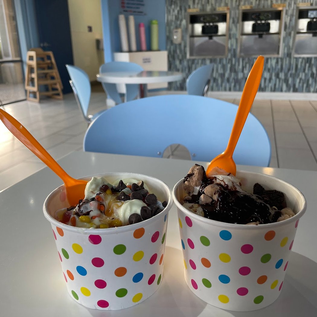 Avalanche Frozen Yogurt 1