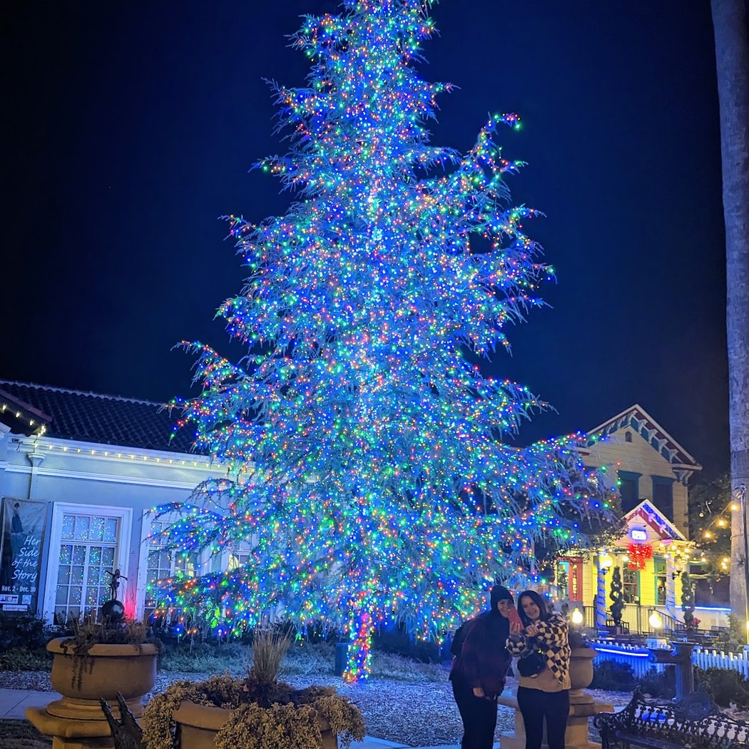 Downtown's Magical Holiday Evening 2