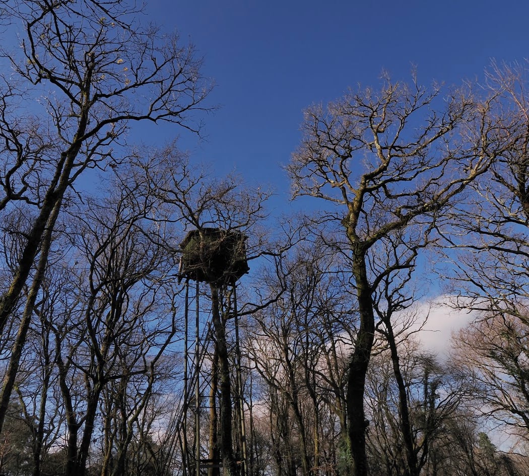 Forêt d'Ustaritz 3