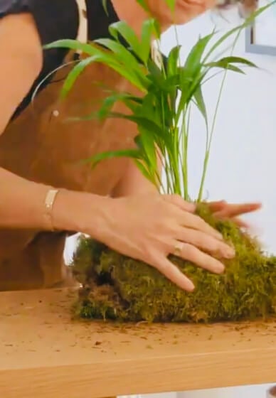 Kokedama Class 3