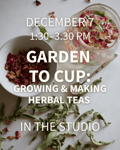 Garden To Cup: The Gift Of Herbal Tea 1