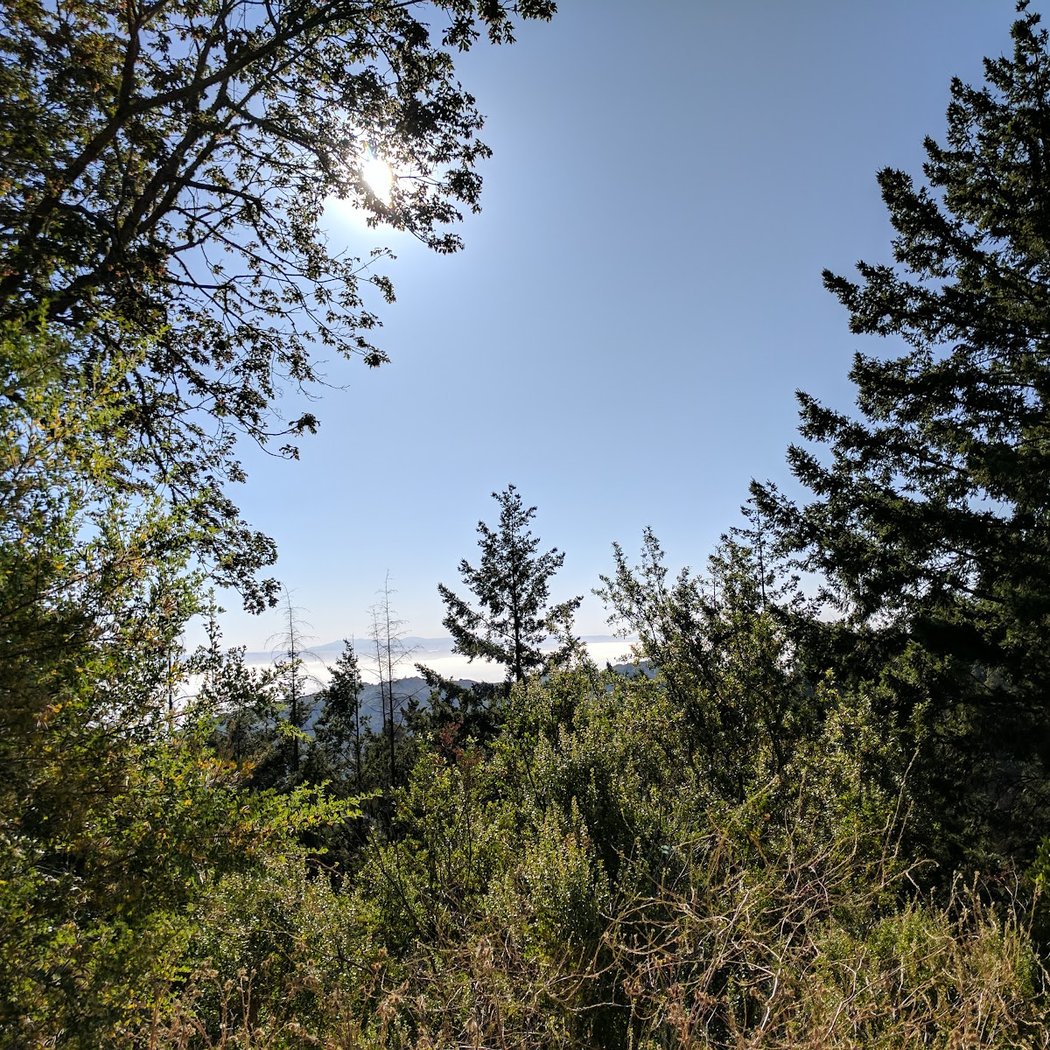 Saratoga Gap Open Space Preserve 2